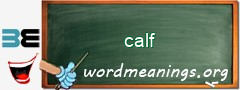 WordMeaning blackboard for calf